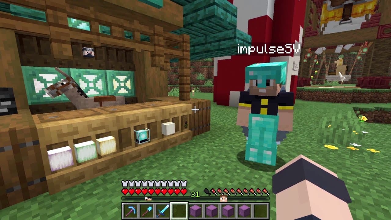 Hermitcraft S11#3: Wither Storage Doodads