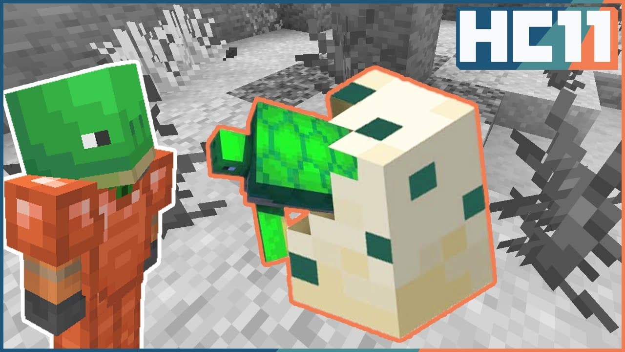 Turtle's Paradise! [10] Hermitcraft 11